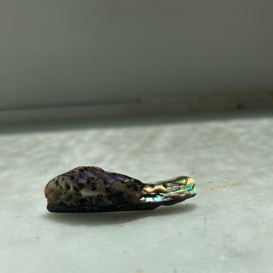 Abalone